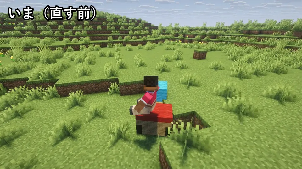 ブロックで作ったペットに乗って草原を走る様子(直す前)